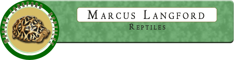 Marcus Langford Reptiles Logo